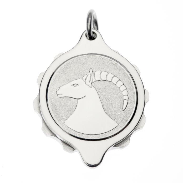 Stainless Steel Plated Zodiac Pendant and Chain