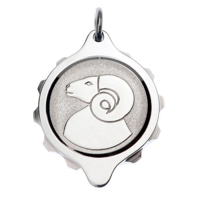 Stainless Steel Plated Zodiac Pendant and Chain