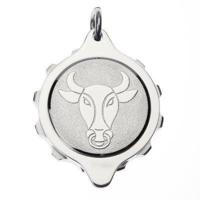 Stainless Steel Plated Zodiac Pendant and Chain