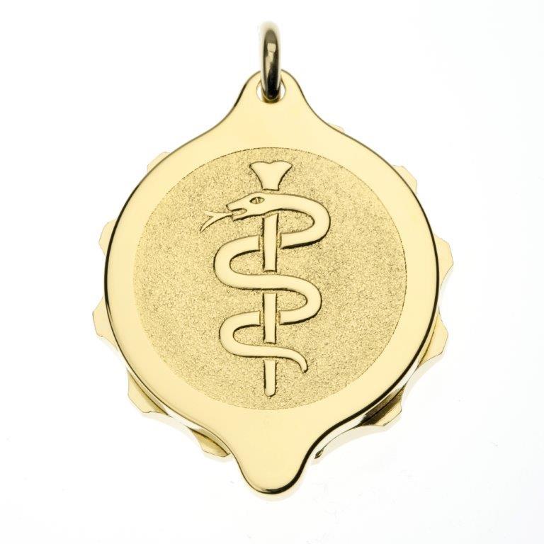 Gold Plated Snake & Staff Pendant and Chain