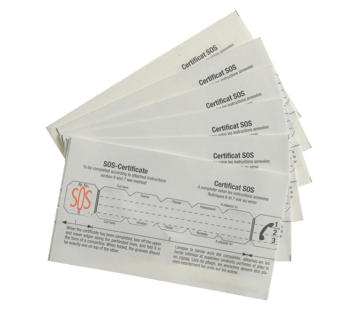 Information Strips PACK OF 5 OR 10  (these will fit ALL talismans)